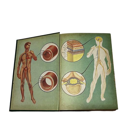 Home Health Guide and Medical Encyclopedia  Book Circa 1963 - Picture 6 of 6